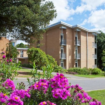 University Of Exeter - Pennsylvania Court מראה חיצוני תמונה