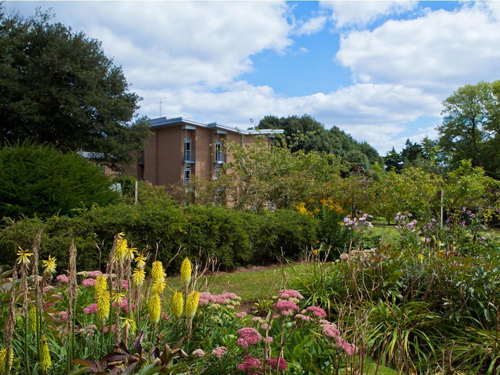 University Of Exeter - Pennsylvania Court מראה חיצוני תמונה